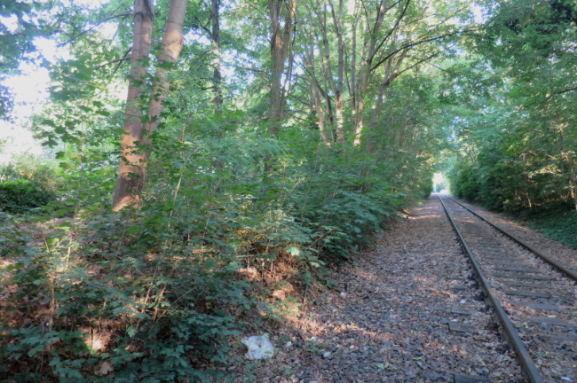 Weicheneinbau.JPG