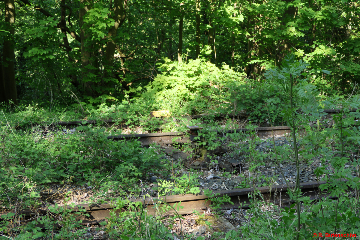 L13-Luetjenburg-2018-05-12-004.jpg