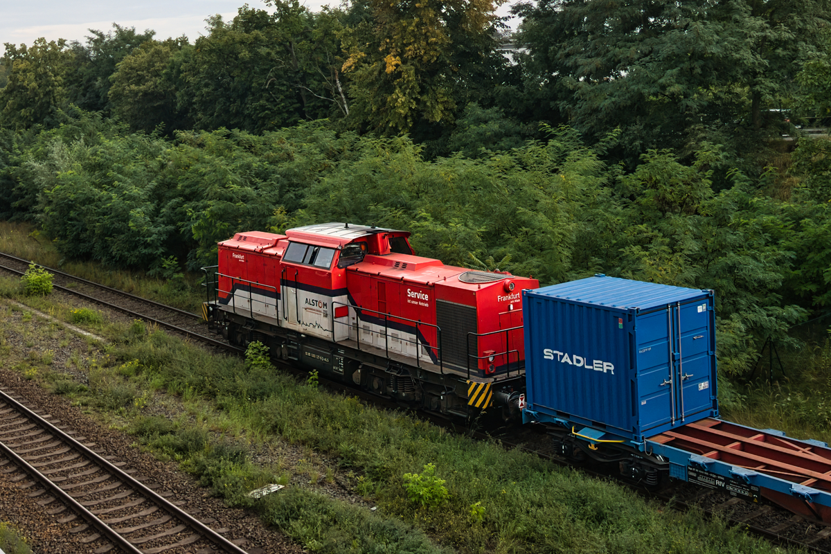 c43.A7305760.jpg