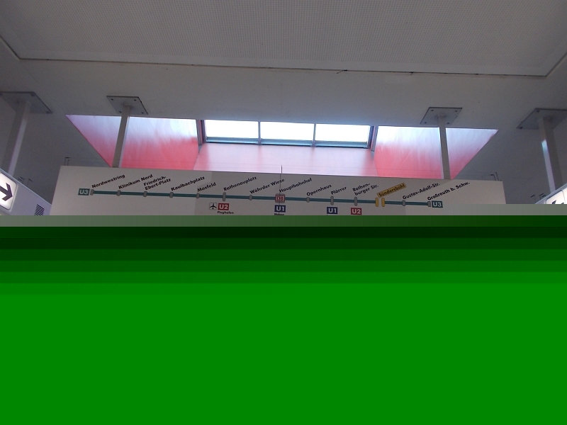 DSCN0544.jpg