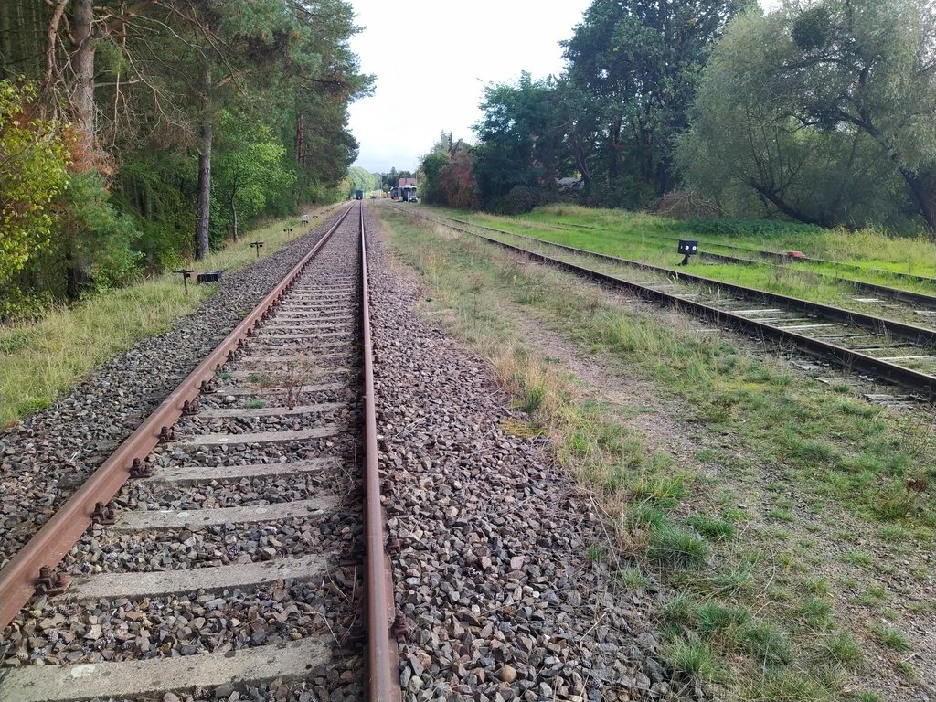 39657380qd.jpg