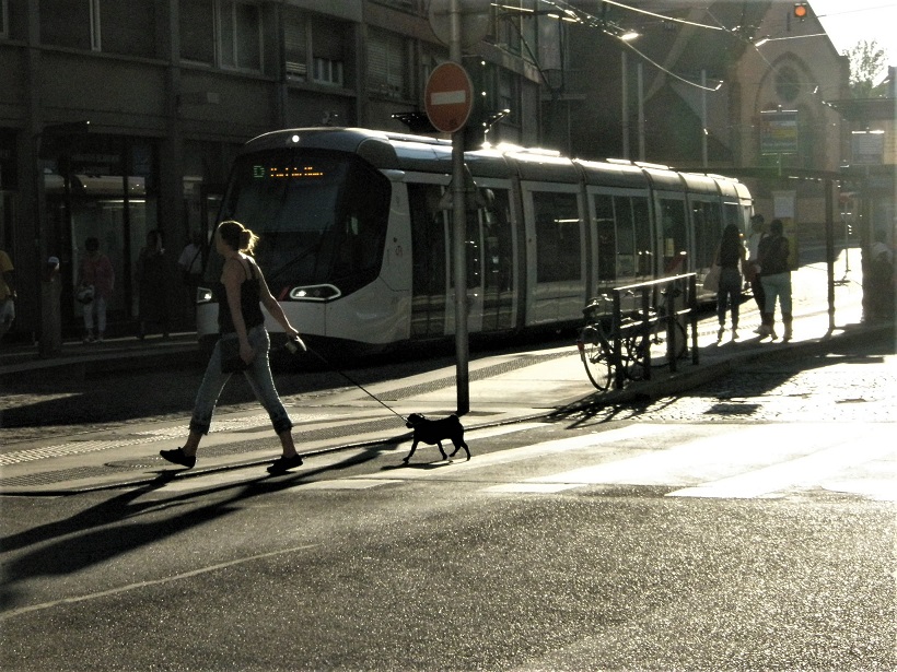 Straburg Straenbahn in KFZ freiem Streckenabschnitt klein.jpg