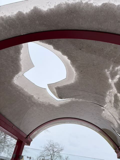 Klein (IMG_9556).png