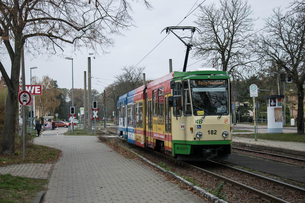 DSC_4494.jpg