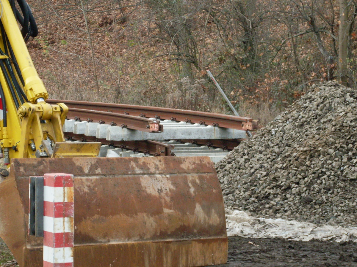 SDC10177.JPG