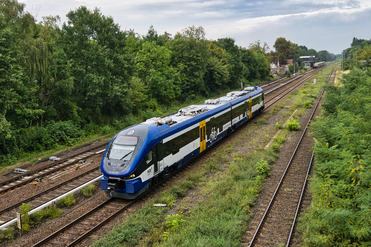 A7305551.jpg