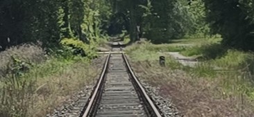20250524_1410122.jpg
