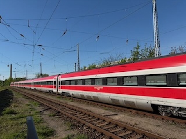 IMG_9769.jpeg