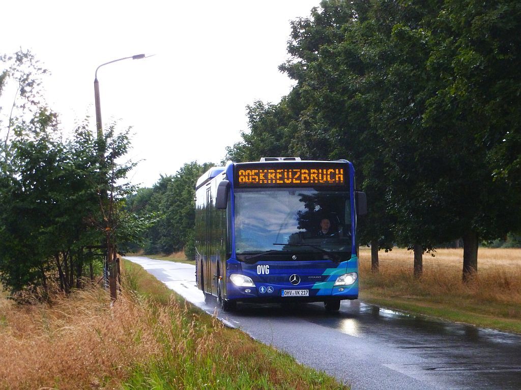 51126856mz.jpg