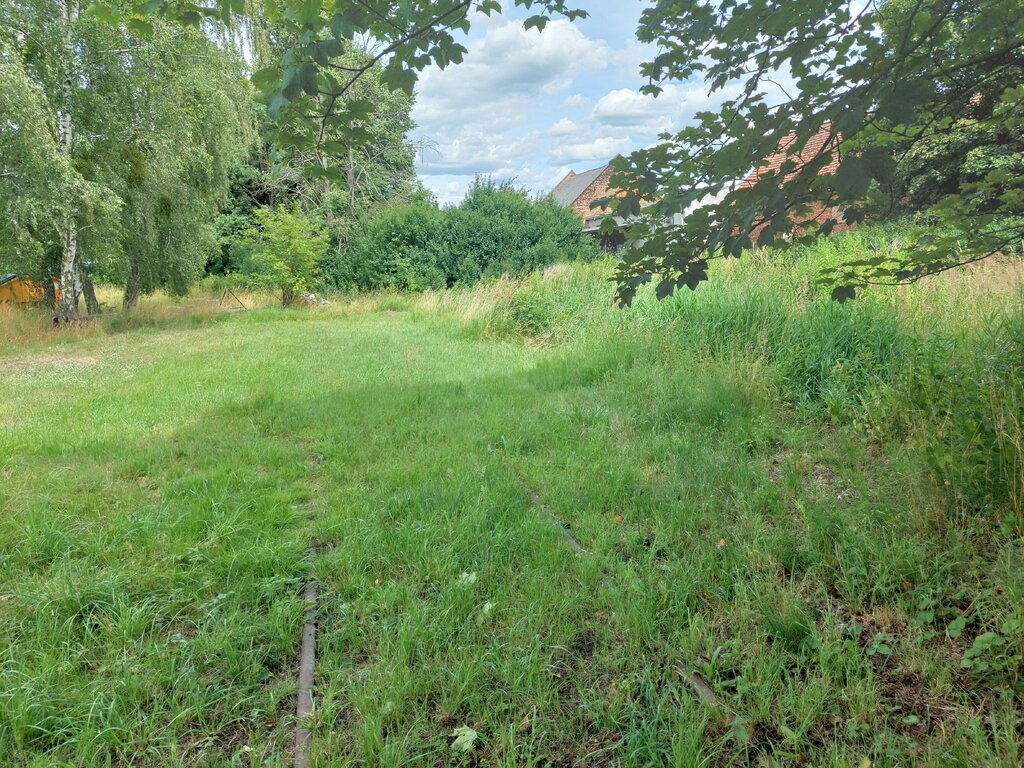 48346621re.jpg