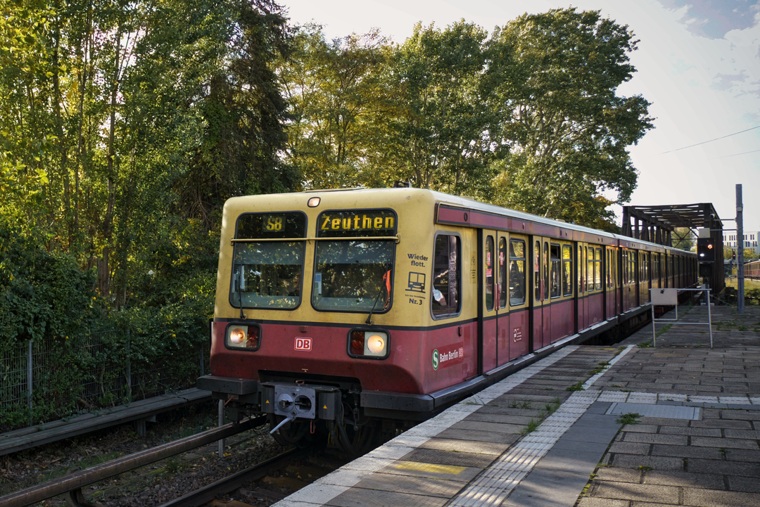 S-Bahn_485097-R_20221010_S8_4485.ig.png