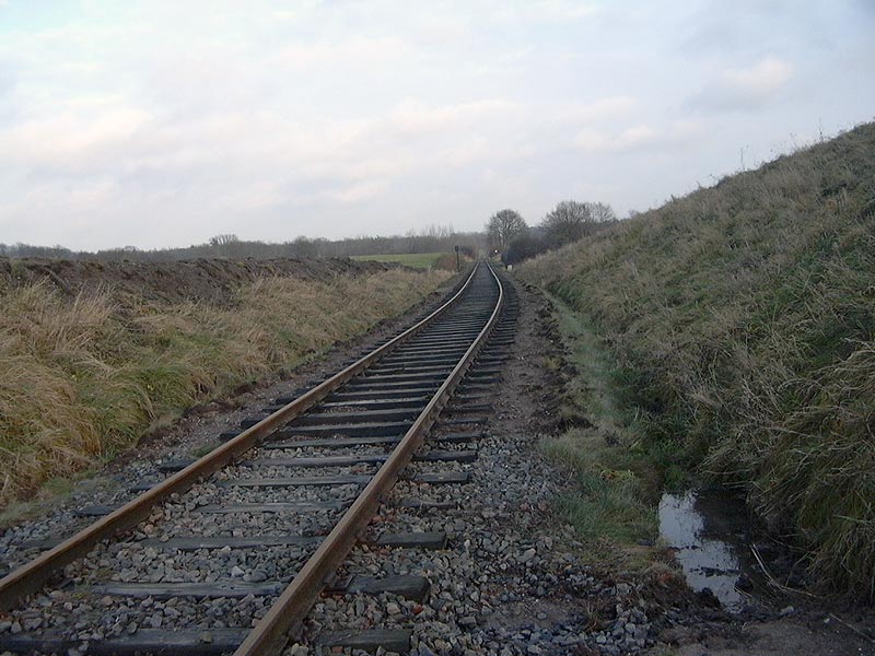 muxall2007.jpg