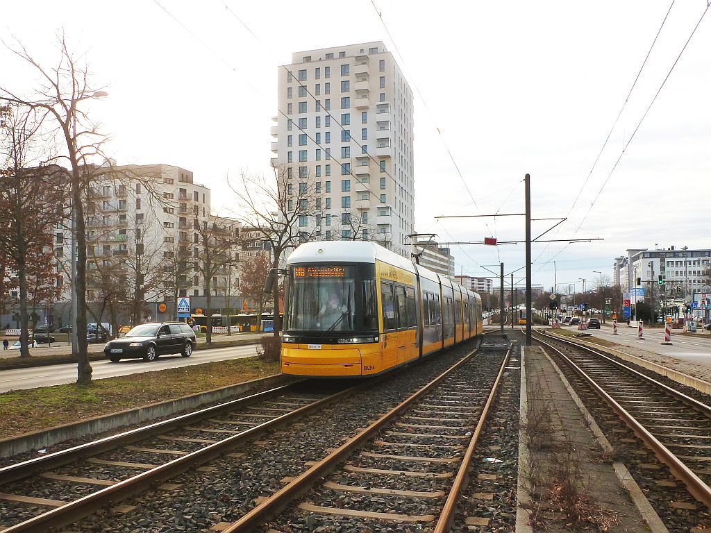 49300472nm.jpg