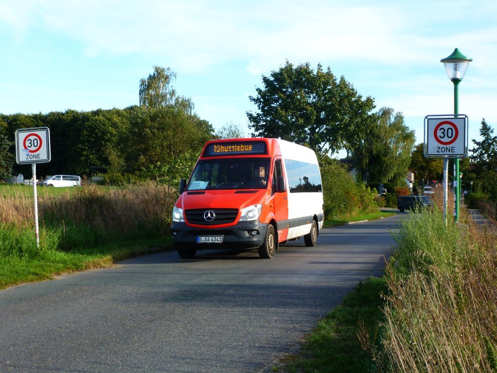 51328780yf.jpg