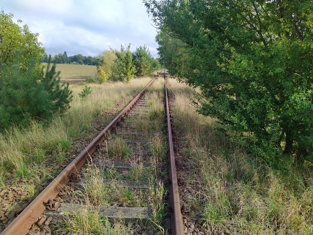 39657366jh.jpg