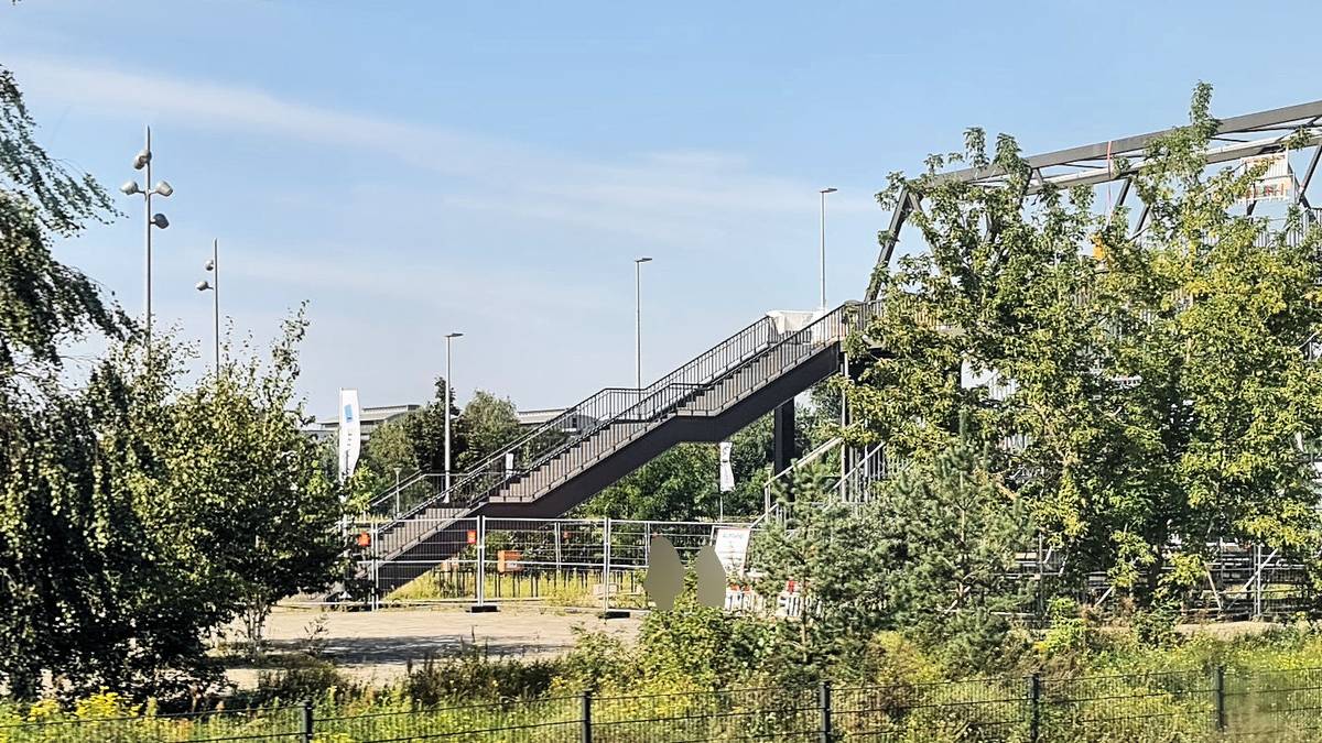 36-2023-09-01-5.jpg