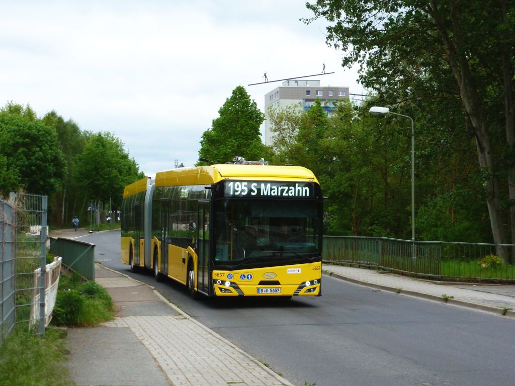 50863272ev.jpg