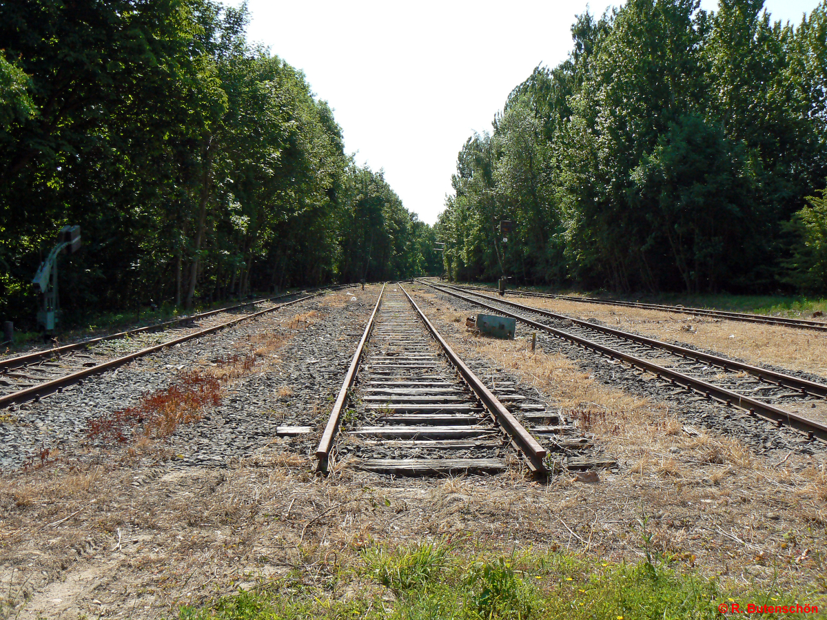 L3-Luetjenburg-2011-06-05-001.jpg