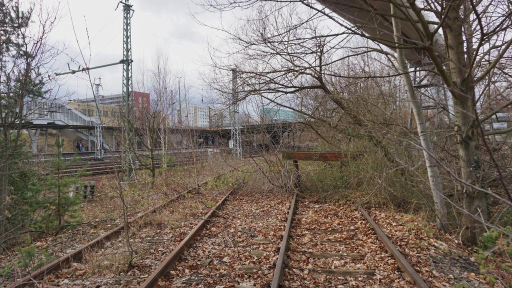 DSC02453_klein.jpg
