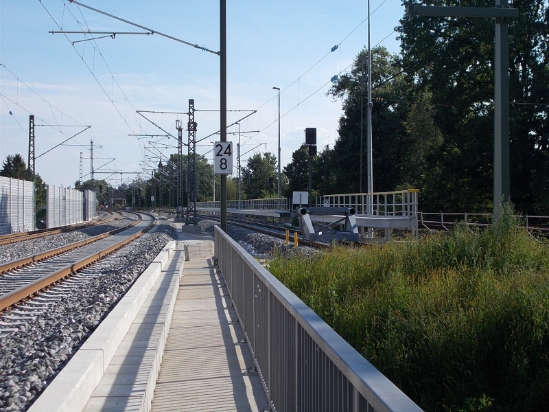 DSCN8813.jpg