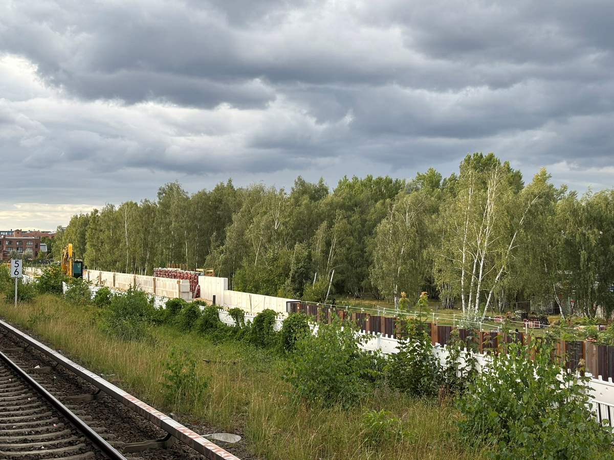 20250824_07.jpg