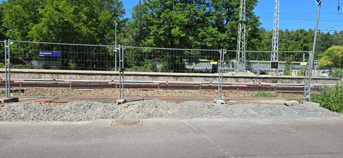 Hirschg3.jpg