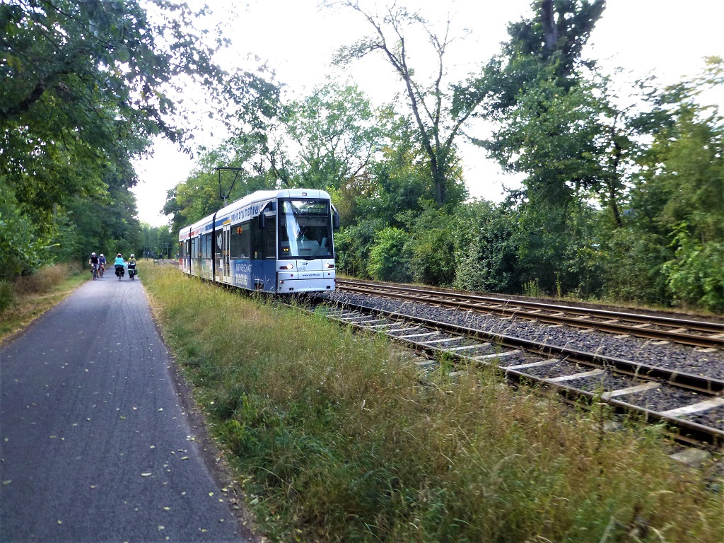Frankfurter Straßenbahn nahe Haltestelle Waldau.jpg