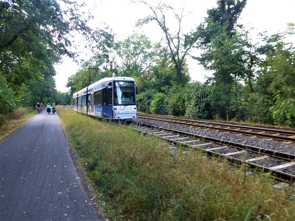 Frankfurter Straenbahn nahe Haltestelle Waldau.jpg