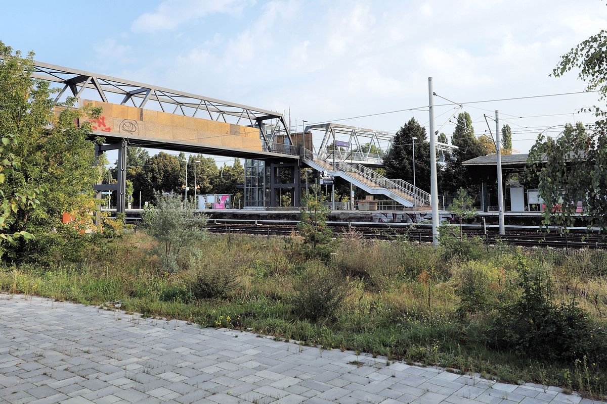20-2021-09-05-11.jpg