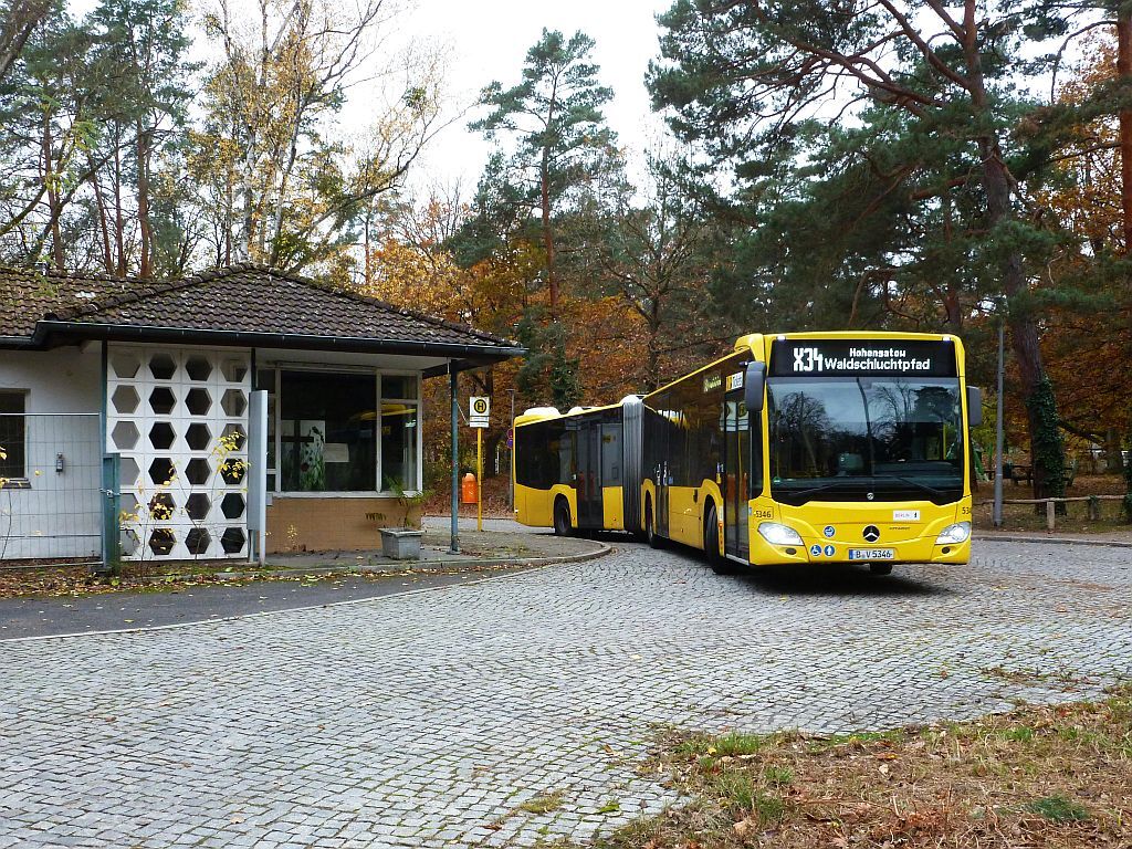 48923029yj.jpg