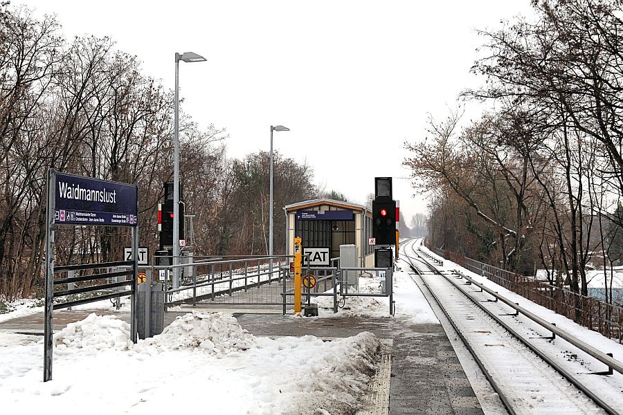 2012-12-15-48.jpg