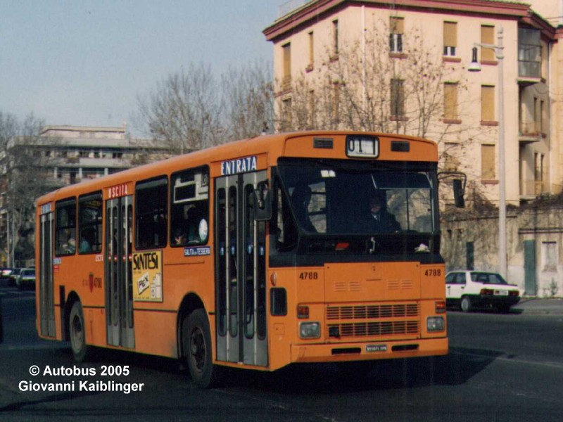 autobus-roma.jpg