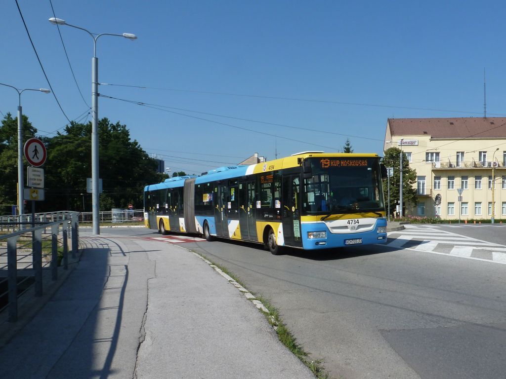 50883683bo.jpg