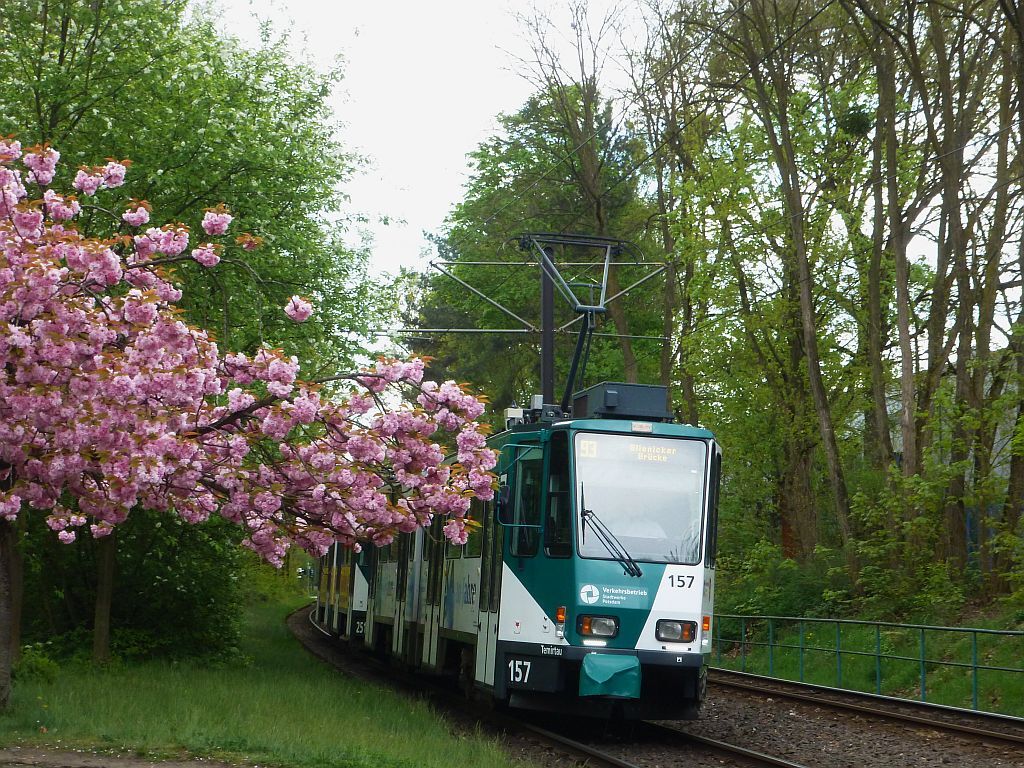 49516778zh.jpg
