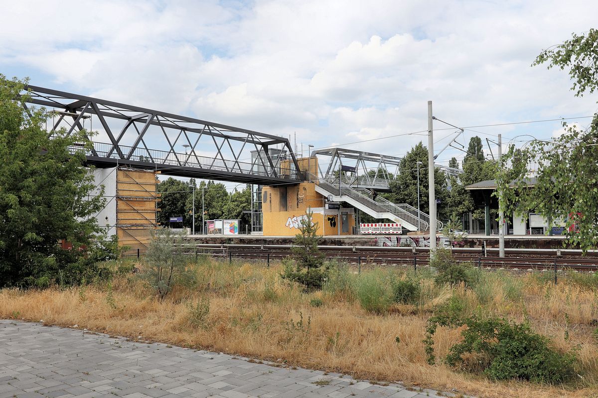 13-2021-06-25-25.jpg