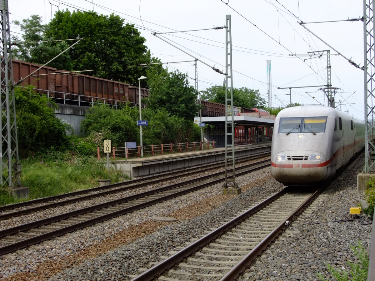 20190614_GZV_Sandreuth__0088.JPG