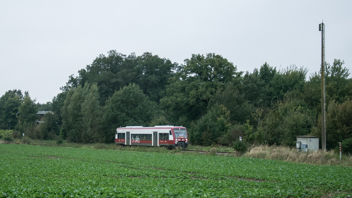 DSC_4280_1200.jpg