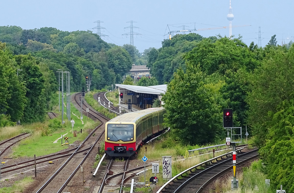 s5150624.jpg