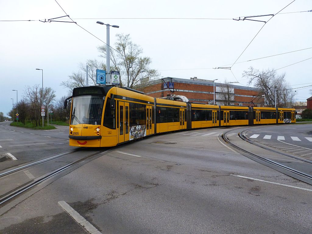 bud110.jpg
