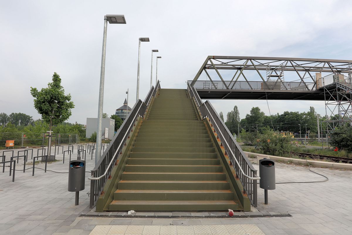 26-2023-05-21-05.jpg