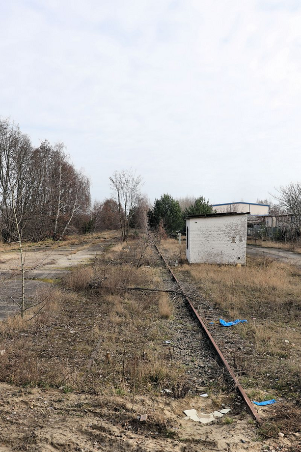 03-2020-03-08-238.jpg