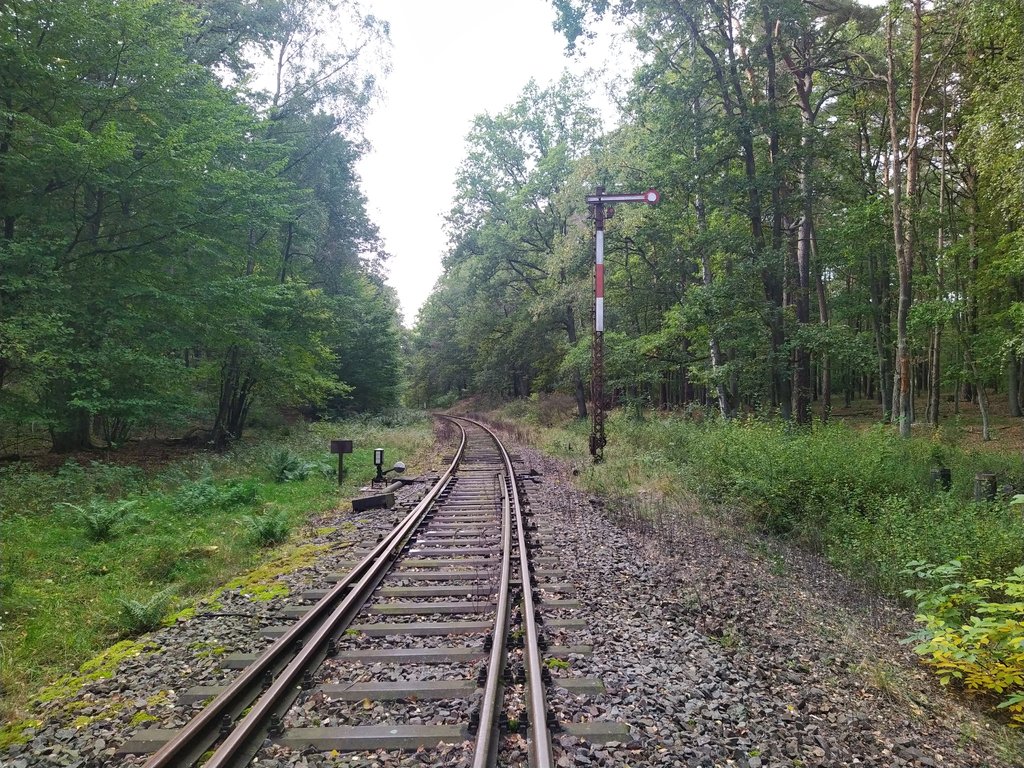 39657387xc.jpg