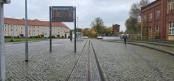 20251023_112714.jpg