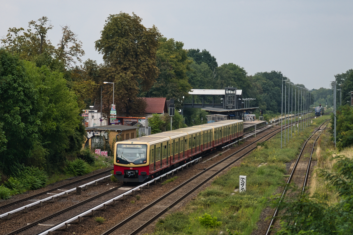 A7305538.jpg