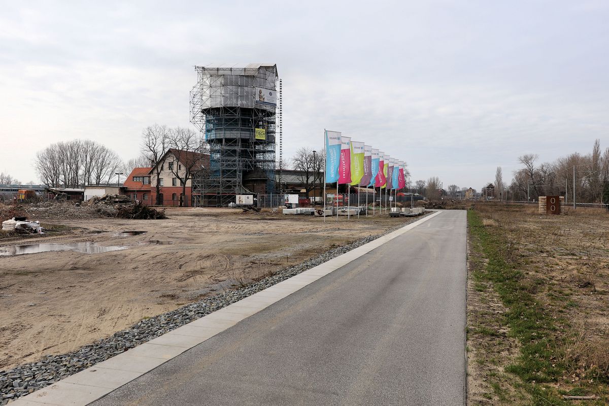 11-2020-03-08-111.jpg