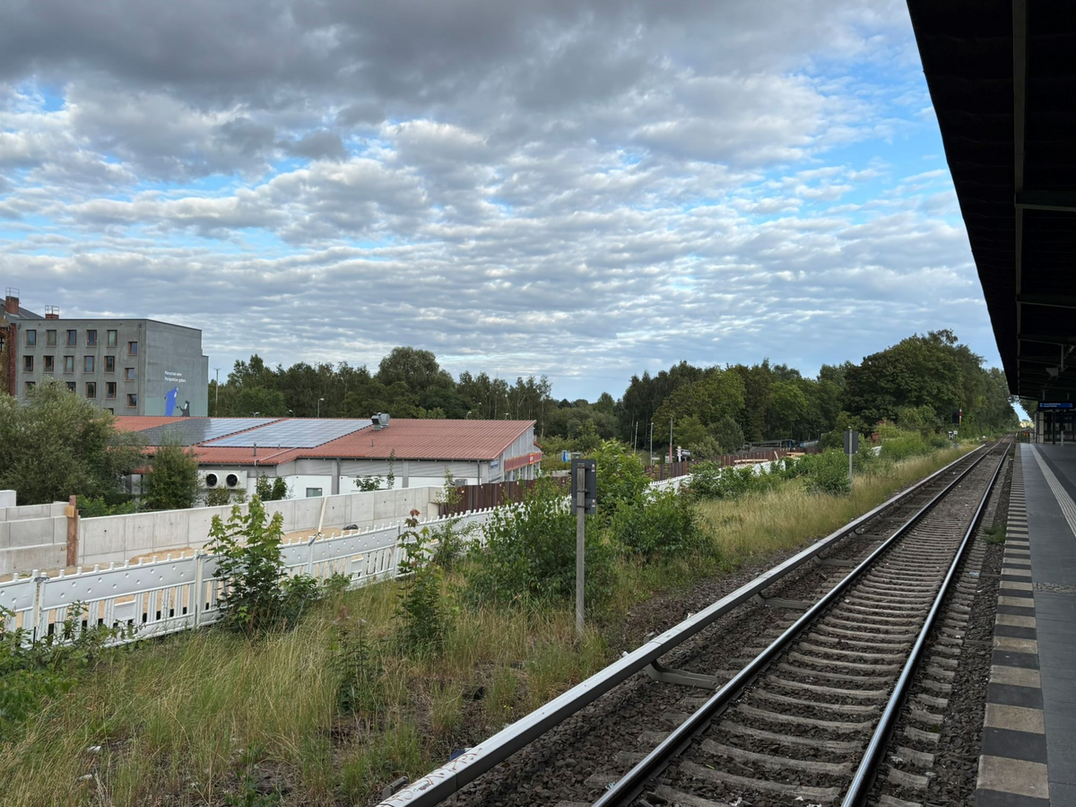 20250824_08.jpg