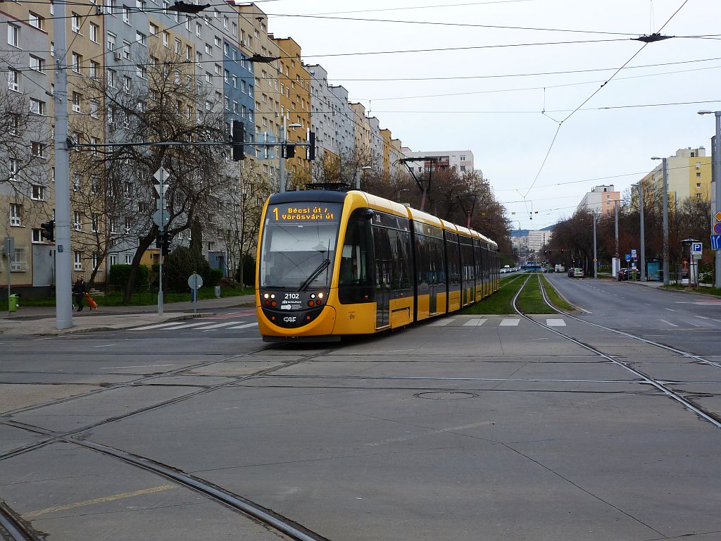 bud210.jpg