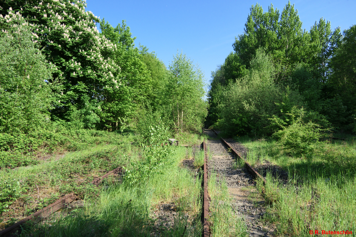 L13-Luetjenburg-2018-05-12-001.jpg