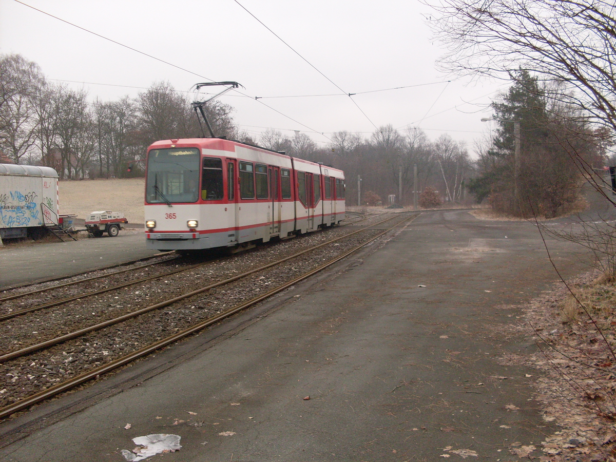 SDC10071.JPG
