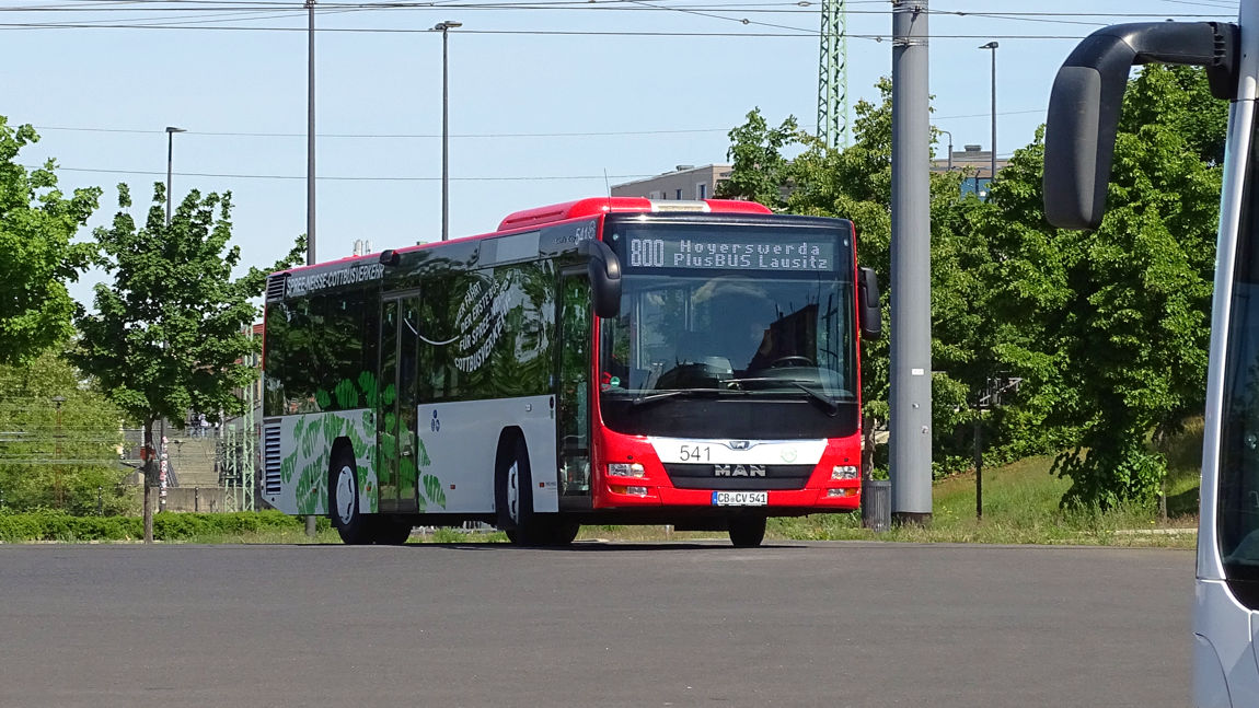 cb541_800.jpg